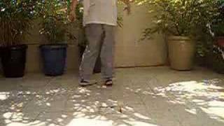 Emixam - Will smith How da beat goes