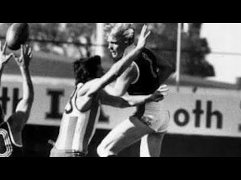 North Melbourne v St.Kilda Round 18 1981