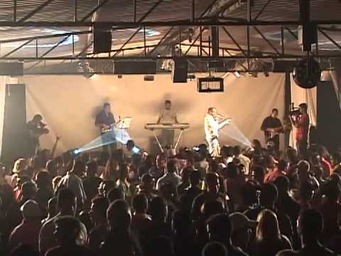 Dorge de salgueiro - SERÁ