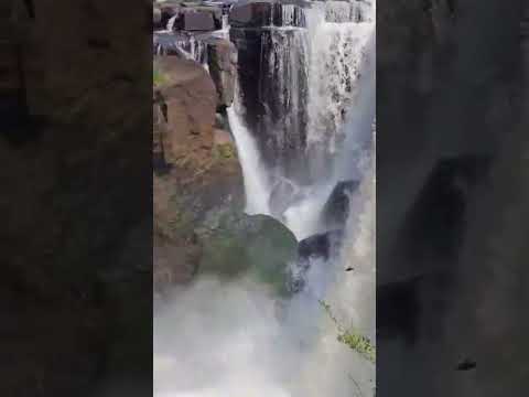 Cachoeira #brasil  #shorts #abelardoluz #santacatarina #Rio #brazilian #tiktok #natureza
