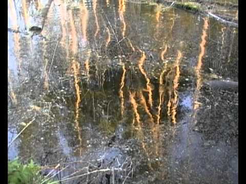 Placebo - Something Rotten. avi