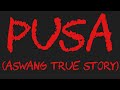 PUSA (Aswang True Story)