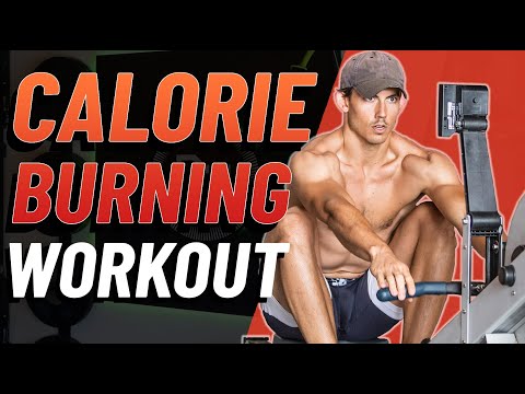 30 Minute Rowing Workout - Complete Calorie Burn