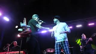 &quot;Dandelion&quot; by LFO &amp; Trevor Penick in Teaneck, New Jersey on February 1, 2025