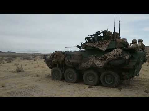 Thuỷ quân Lục chiến Hoa Kỳ tập trận bắn đạn thật với Xe trinh sát bọc thép hạng nhẹ LAV-25A2