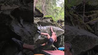 Video thumbnail de Muscle Monster, 7C+. Magic Wood