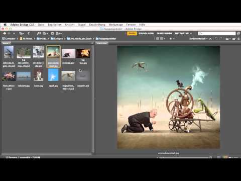 Wie entstehen surreale Bilder?