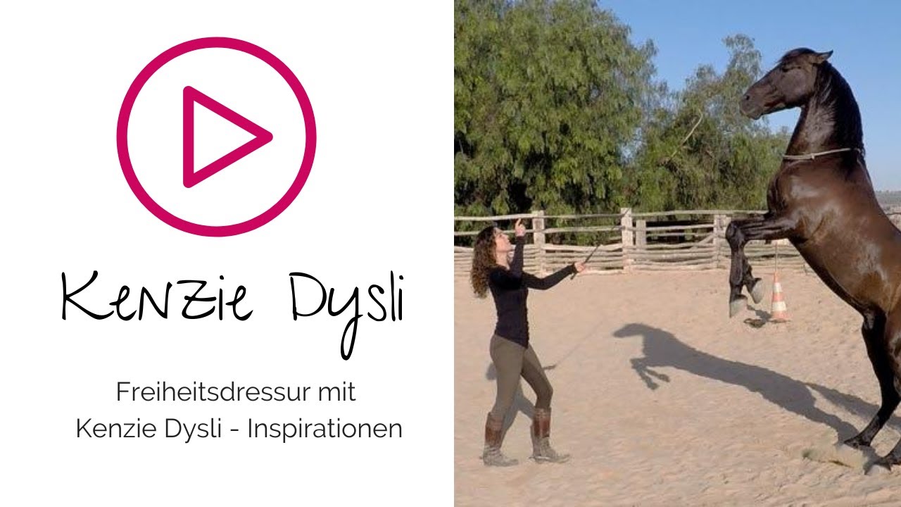 Liberty Dressage with Kenzie Dysli: How Horses Think and Feel (With Ostwind film horse Atila.)