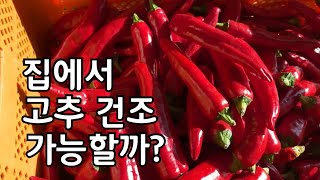 고추 따서 빛깔 좋은 고추가루 만드는 방법