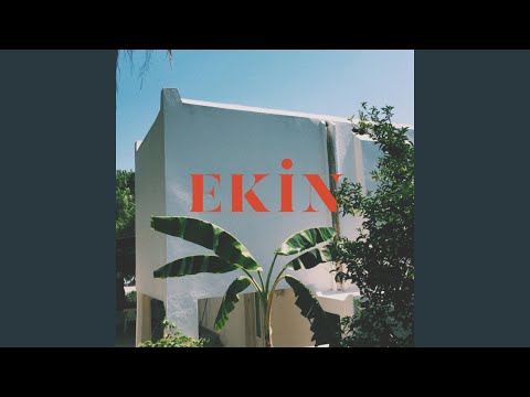 Ekin