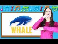 Phonics | The Letter W | Signing for Babies ASL | Letter Sounds W | Patty Shukla