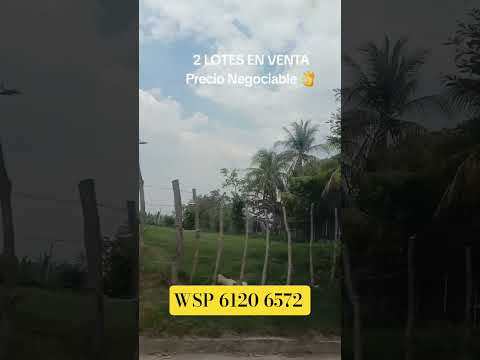 2 LOTES Santiago Nonualco llama al 6120 6572 #parati#inversion#bienesraices #feedshorts#elsalvador