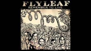 Flyleaf Okay/Tina
