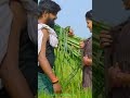 Kadhal Vanile Kadhal Vanile Song WhatsApp Status Tamil
