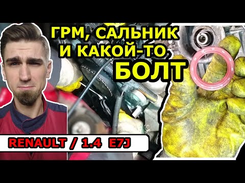 Течь масла со стороны ремня грм / замена сальника / герметизатия болта опоры / Рено E7J Renault