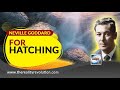 Neville Goddard For Hatching