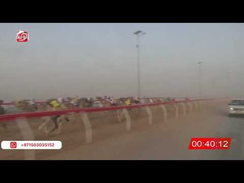 ش 9 (الدوحة) لـ محمد مبارك سويلم العامري 2:04 , شارة الصندوق 2026/06/20 فطامين الروضة 
