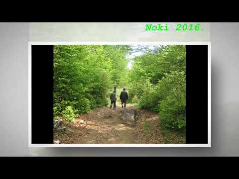 ZLOT BAČIJA 2009.- Frulaš - Novica Djordjevic - BATRNJACA KA LA BOR 030.