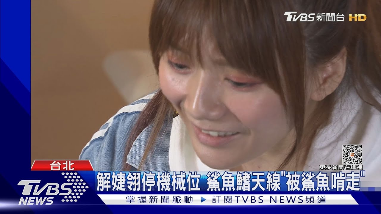 解婕翎停機械位 鯊魚鰭天線「被鯊魚啃走」