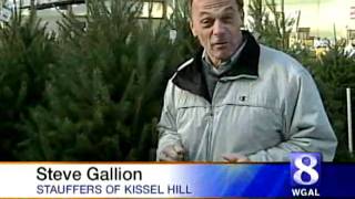 Garden Guy Offers Tips For Keeping Christmas Trees Fresh