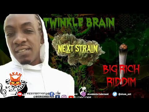 Twinkle Brain - Next Strain [Audio Visualizer]