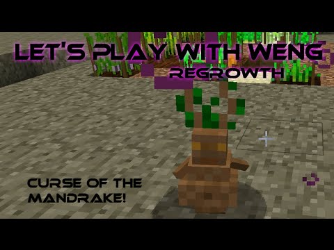 MineCraft | Regrowth | E03 | Curse of the Mandrake!