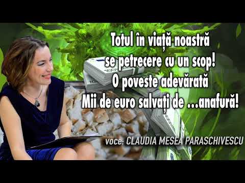 Everything in our lives happens for a purpose! A true story*Thousands of euros saved from...a scam