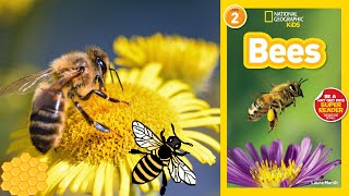 National Geographic Readers: Bees