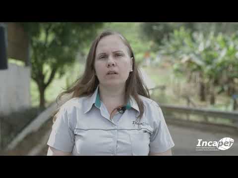 Pavimentação e Drenagem da Bacia do Rio Mangaraí