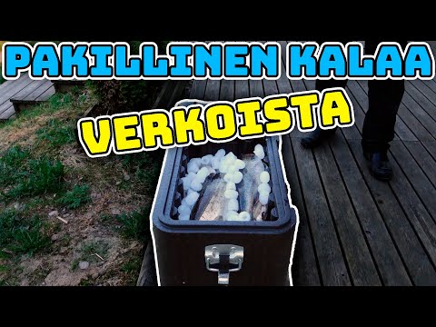 Kuhaa, ahventa, matikkaa, lahnaa ja haukea saaliiksi