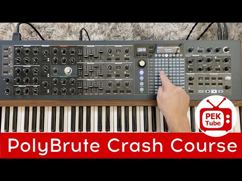 Tutorial - ARTURIA PolyBrute - Kurzanleitung DE (Untertitel DE & FR)