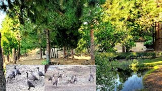 สัตว์ป่าเต็มสวนช่วงหน้าร้อนในอเมริกา 23/7/21