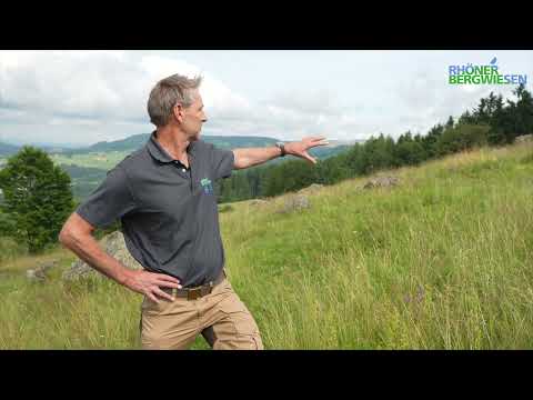 Darum geht es im LIFE-Projekt "Rhöner Bergwiesen"