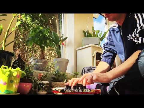 Junk Beats - Beat Diary#14 - Akai MPD218 and Ableton Live Jam