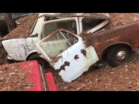 Thumbnail for Remember the Simca by Simca