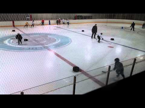 Evolution practice 2015.09.12