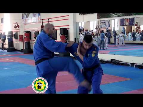 The BEST Real Aikido Master 🥋🇦🇿🇷🇸