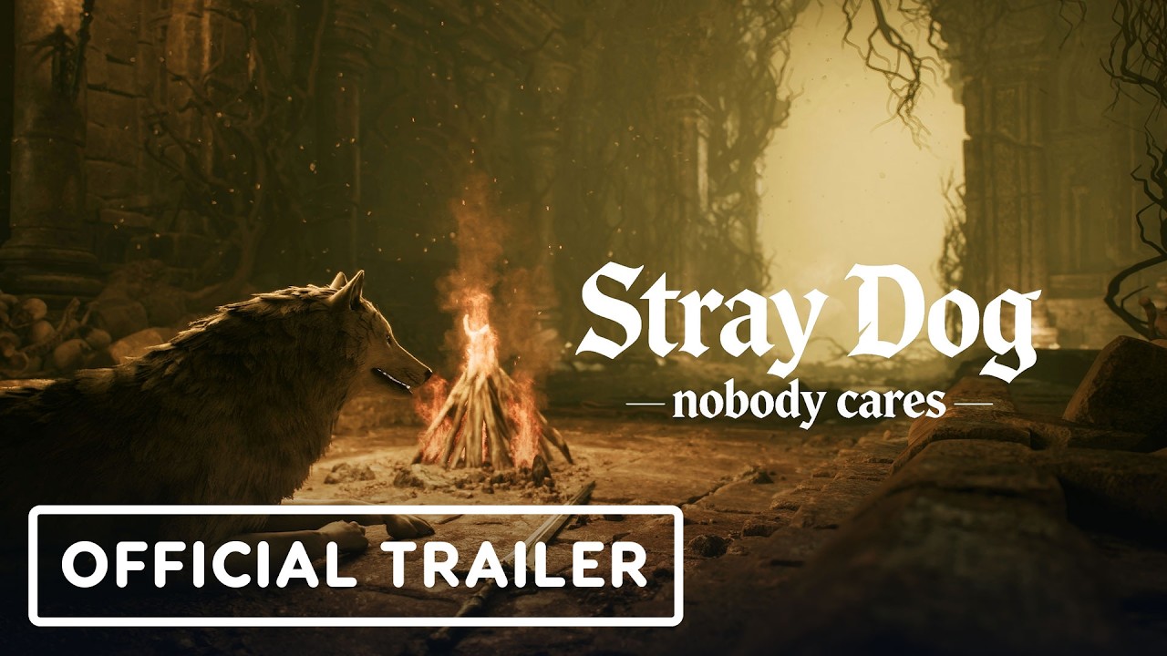 Stray Dog: nobody cares - Official Announcement Trailer - YouTube