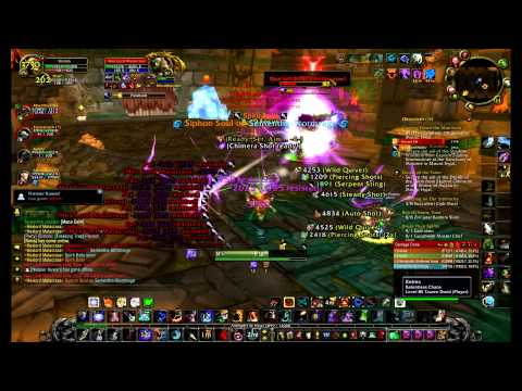 MM Hunter Zul'Aman | Hex Lord Malacrass