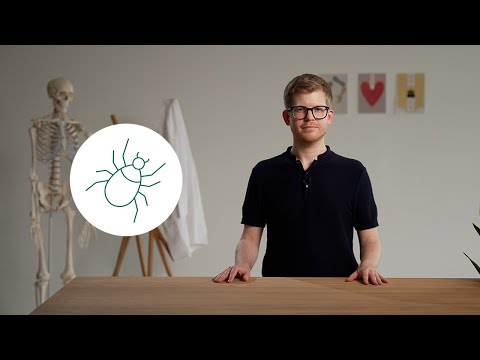 FSME-Symptome nach Zeckenbiss erkennen | Sanitas Gesundheitswissen