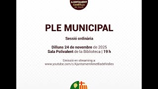 PLE MUNICIPAL - SESSIÃ ORDINÃRIA 24/11/2025
