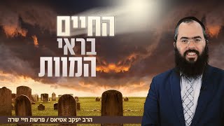 החיים בראי המוות | פרשת חיי שרה