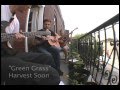 Green Grass (Balcony Sessions) by Harvest Soon ...