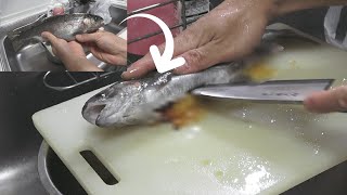 丸1日粘って釣りをして、釣れた魚の腹を割ったら...○○○が大量放出！！？？