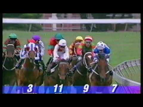 1995 Mackinnon Stakes - Danewin