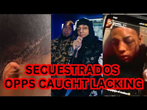 Shots and Machete enemy of Blacky Drippy Young Avi Revenge With S4ngre Anuel vs Arcángel & Chimi