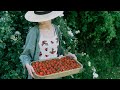 45 If Strawberries Are Here So Is Summer 6 Strawberries Recipes For Summer