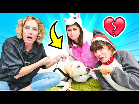 Lustige Videos mit Nicole. Das Einhorn und der Hai in Nicoles Café | Magisches Schloss