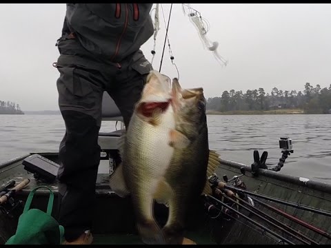 Alabama Rig Double Up - Butterball Bass Fishing