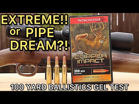 NEW Winchester Supreme Long Range… First Real Test (30-06)